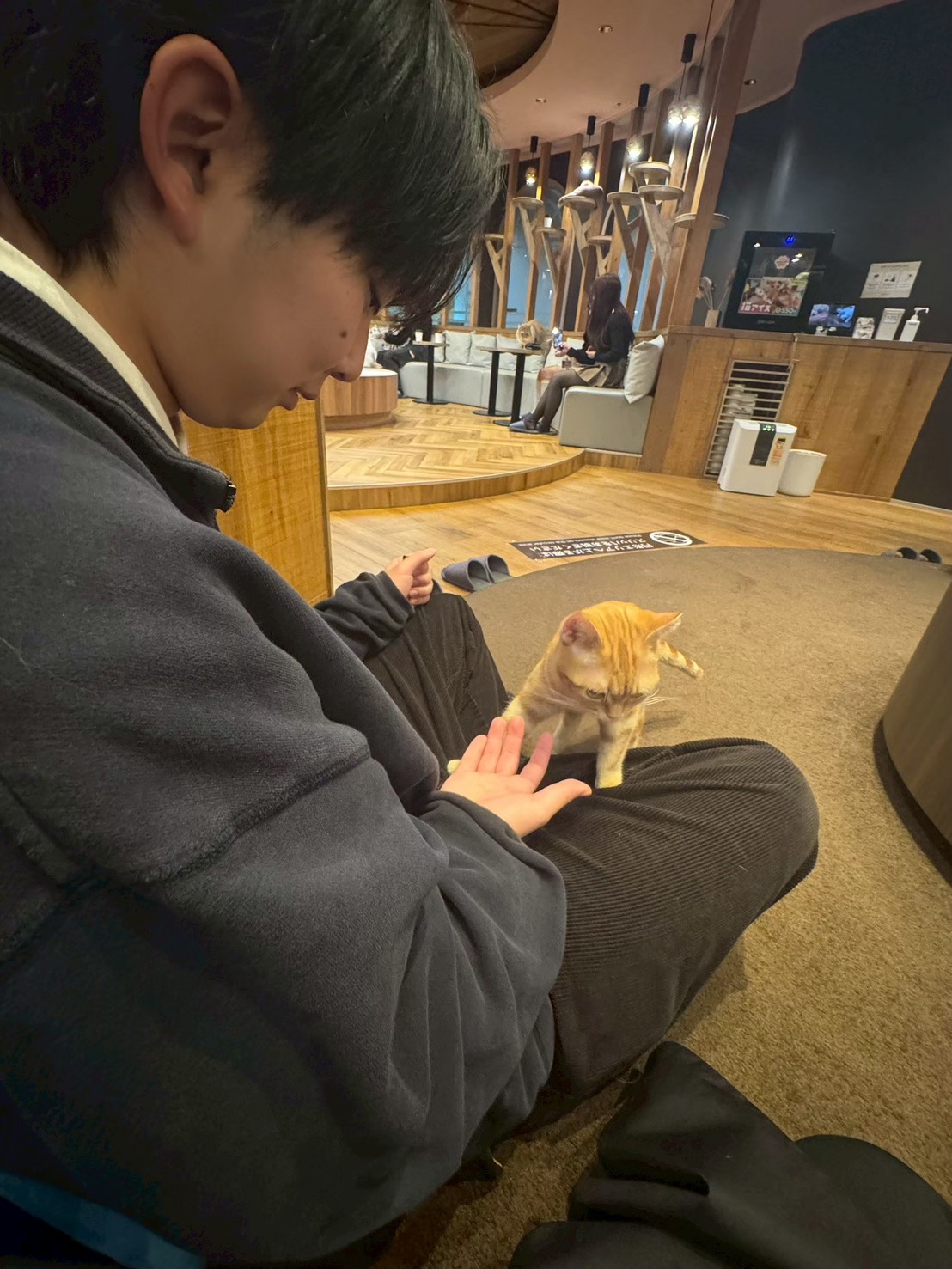 キャリアアドバイザーのプロフィール写真